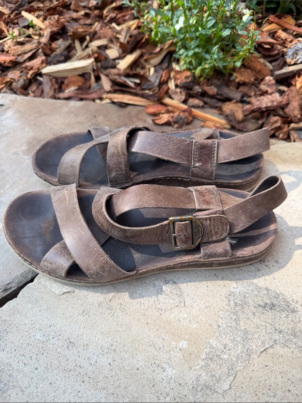 Chaco Brown Leather Cross-Strap Buckle Sandals - Picture 2 of 7